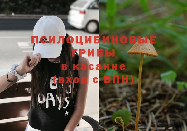 первитин Армянск