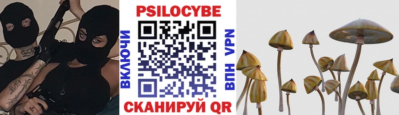 Псилоцибиновые грибы ЛСД  где найти наркотики  Северо-Курильск 